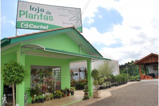 Lojas de plantas da Certel estimulam preservação ambiental